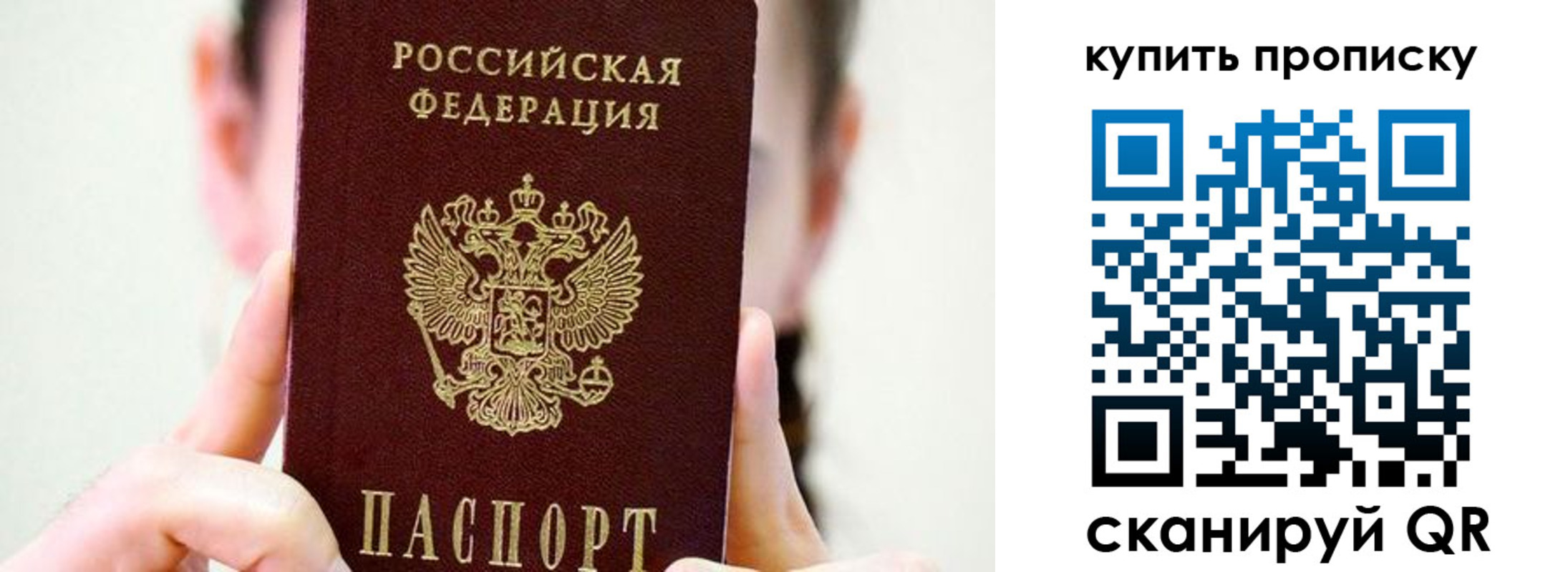 прописка 2025 в Приозерске