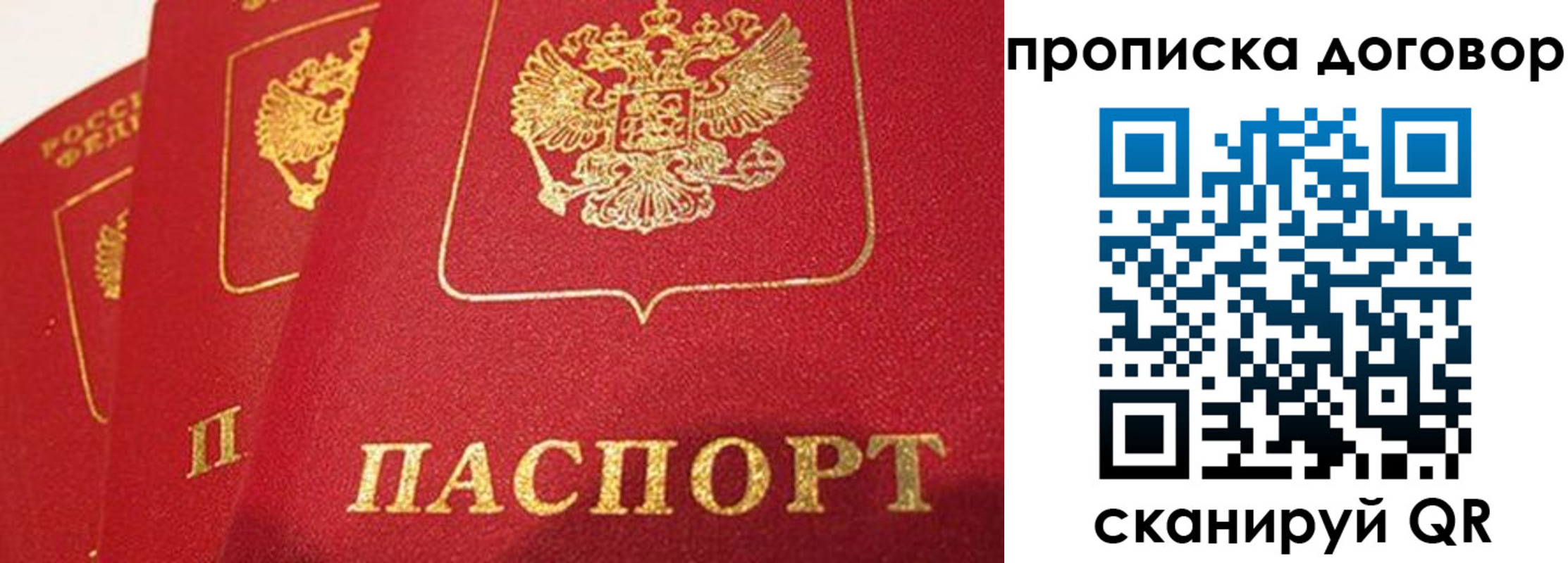 найти адрес прописки в Приозерске